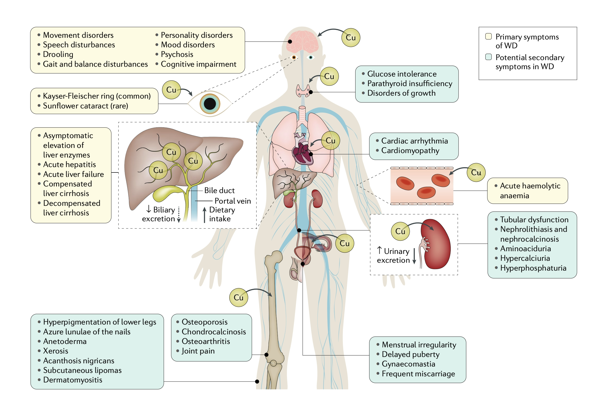 Indian Pediatrics - Editorial