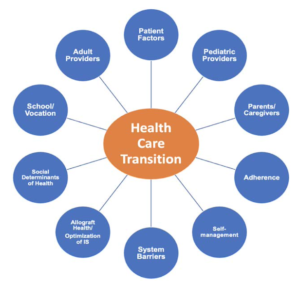 Figure 1. Image taken from: Vittorio J, et al. Health Care Transition for Adolescents and Young Adults With Pediatric-Onset Liver Disease and Transplantation: A Position Paper by the North American Society of Pediatric Gastroenterology, Hepatology, and Nutrition. J Pediatr Gastroenterol Nutr. 2023 Jan 1;76(1):84-101.