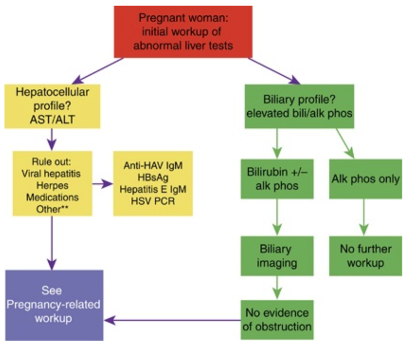 Pregnancy, pruritus and pain, oh my! A casebased approach to abnormal
