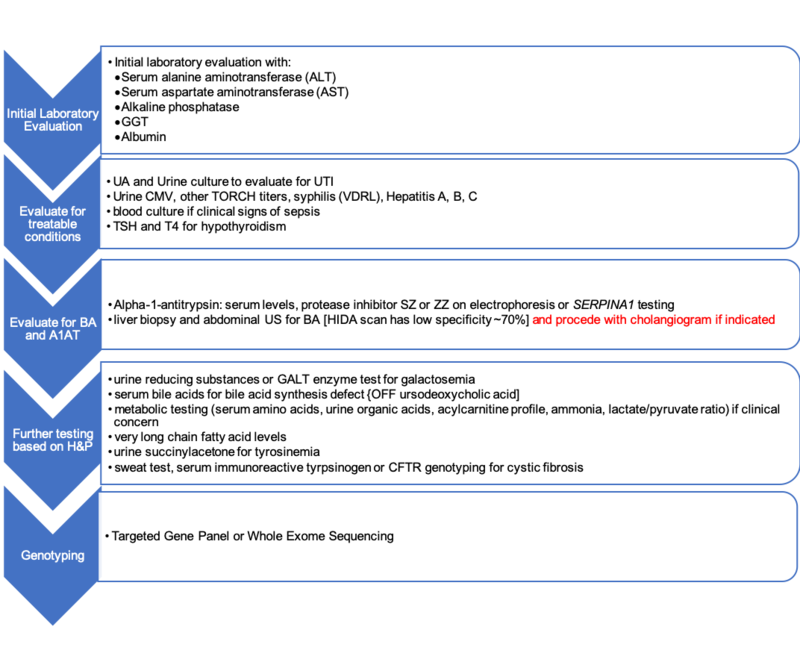 An Approach to the Cholestatic Infant AASLD