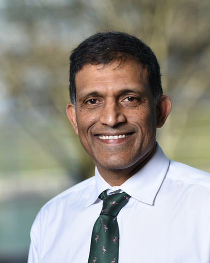 Naga P Chalasani, MD, FAASLD