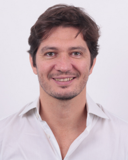 Matteo Rosselli, Consultant