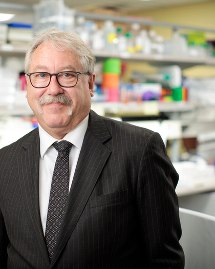 Gregory J Gores, MD, FAASLD