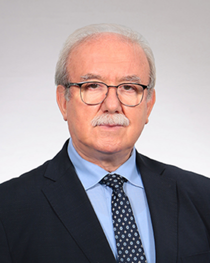 Necati Ormeci, Prof