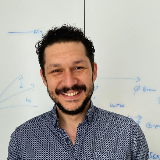 Batuhan Orbay Yenilmez, PhD