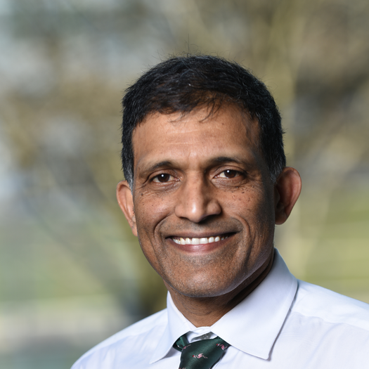 Naga P Chalasani, MD, FAASLD