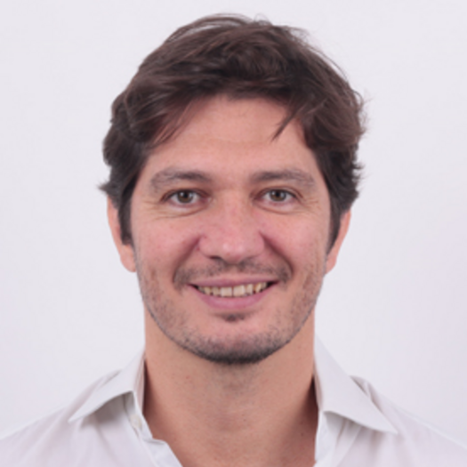 Matteo Rosselli, Consultant