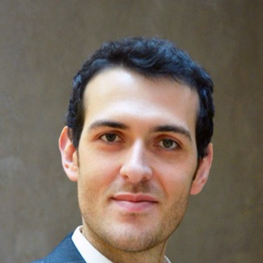 Pierbruno Ricci, Ph.D.