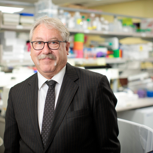 Gregory J Gores, MD, FAASLD