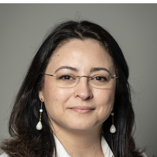 Ana Lleo, MD, PhD, FAASLD