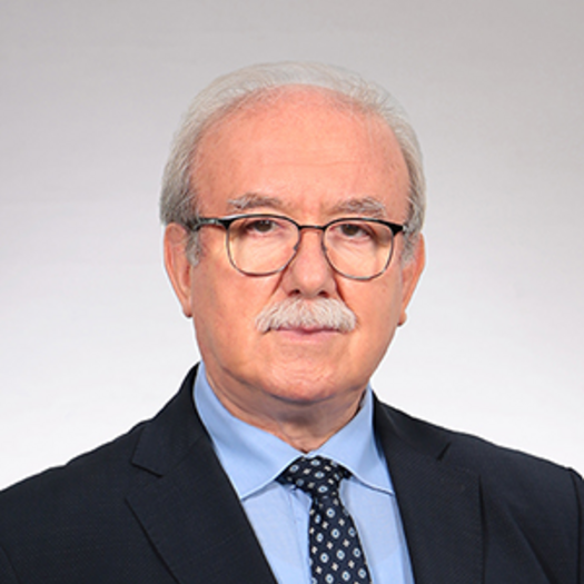 Necati Ormeci, Prof