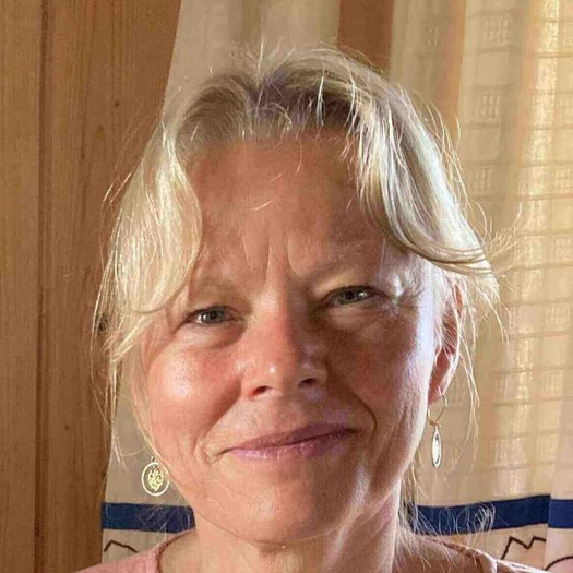 Karen Kristine Sørensen, DVM, PhD