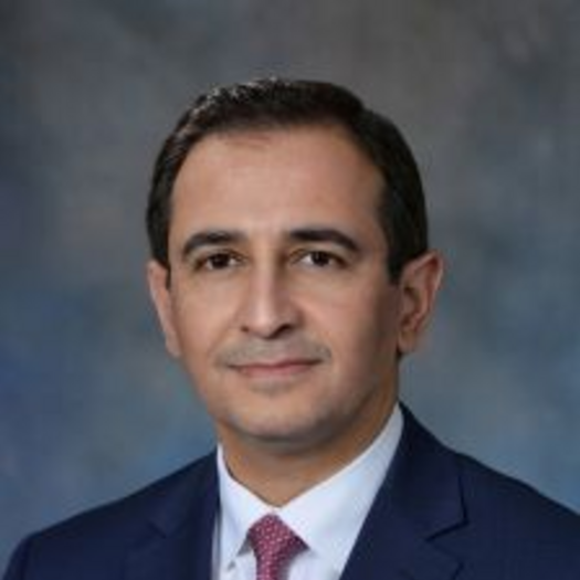 Hashem B El-Serag, MD, MPH