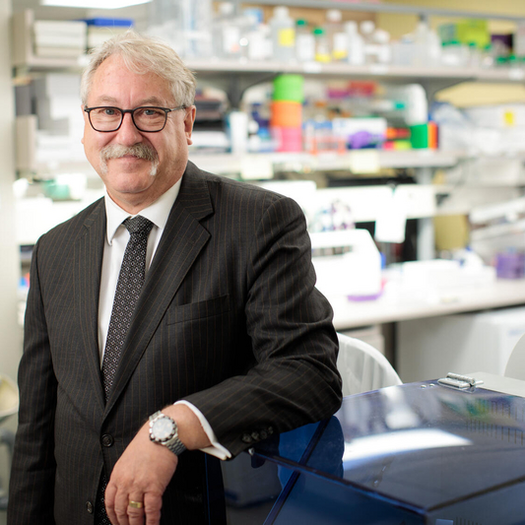 Gregory Gores, MD