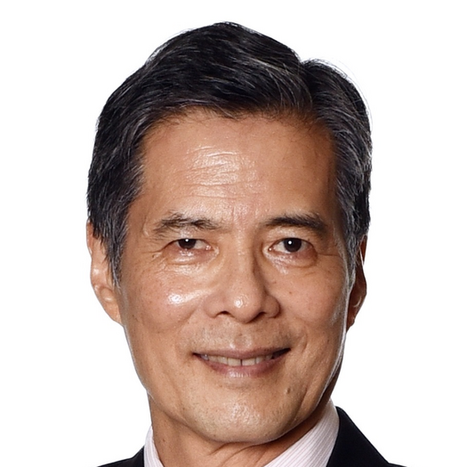 Seng Gee Lim