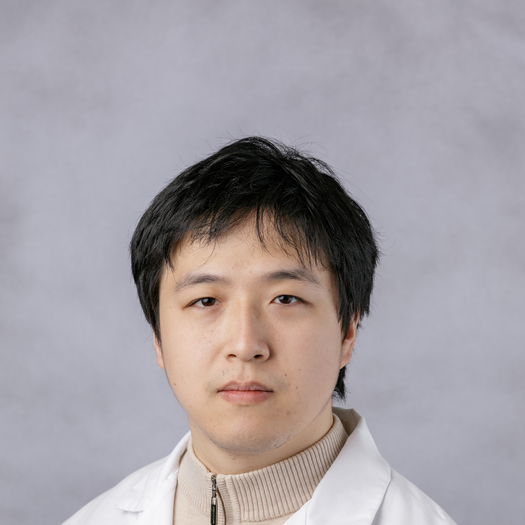 Hui Han, PhD