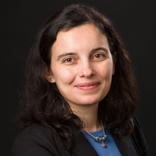 Silvia Vilarinho, MD, PhD