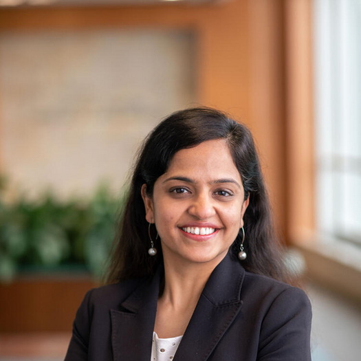 Nidhi Jalan-Sakrikar, PhD