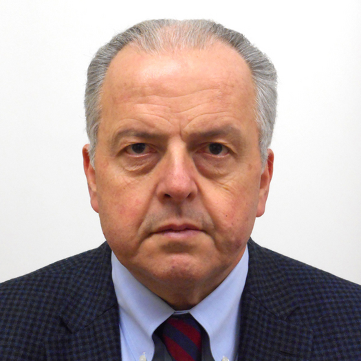 Paolo PA Angeli, MD, PhD