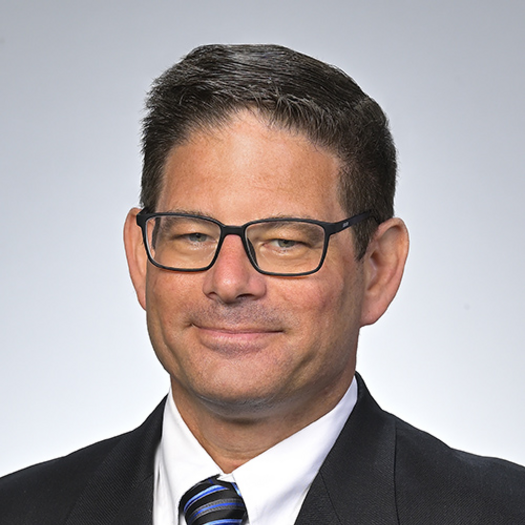 David E Kaplan, MD, MS, , MSc, FAASLD, FACP, AGAF