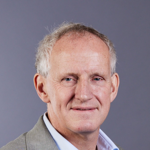 Henkjan J Verkade, MD, PhD