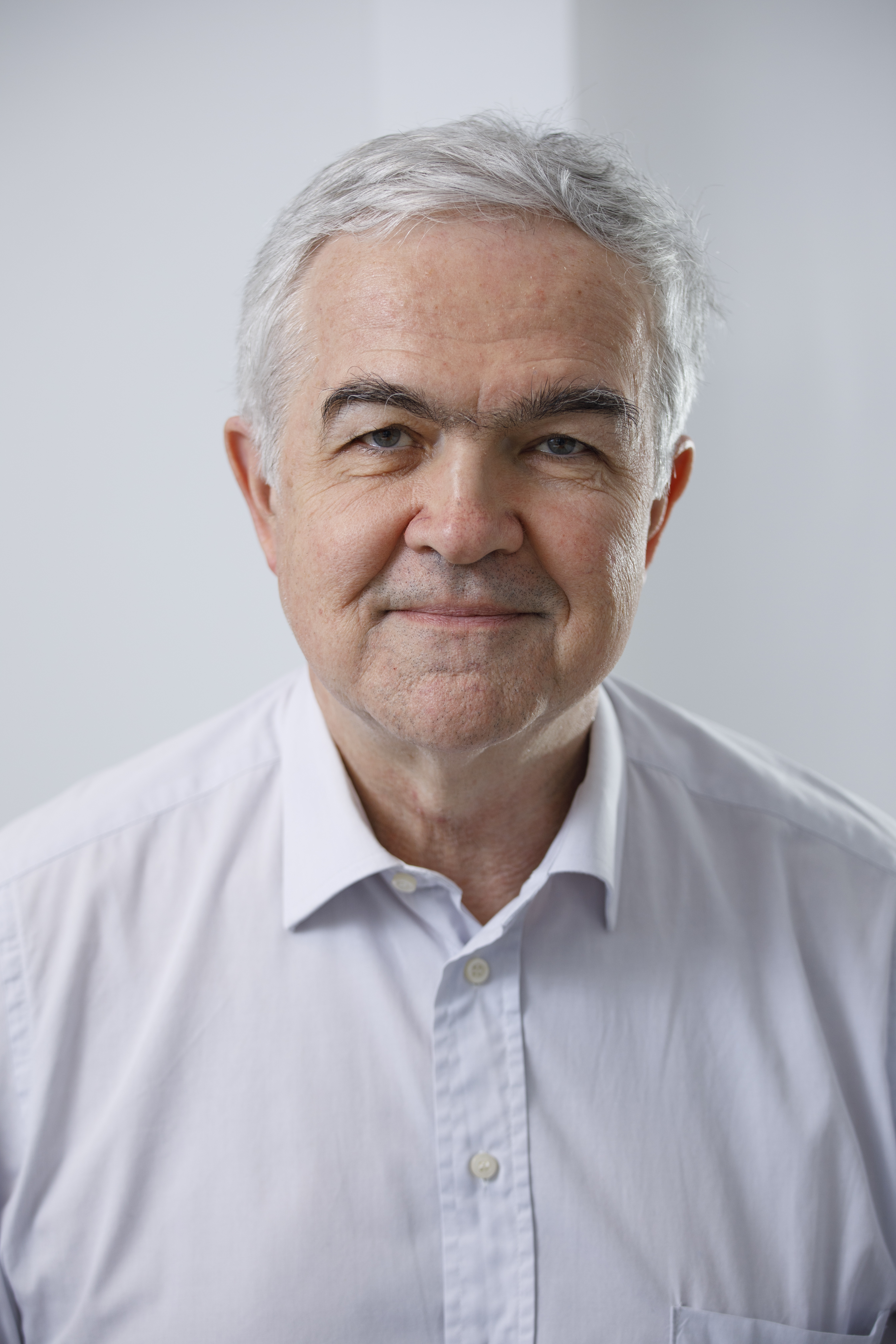 Bio image for Nedim Dino Hadzic